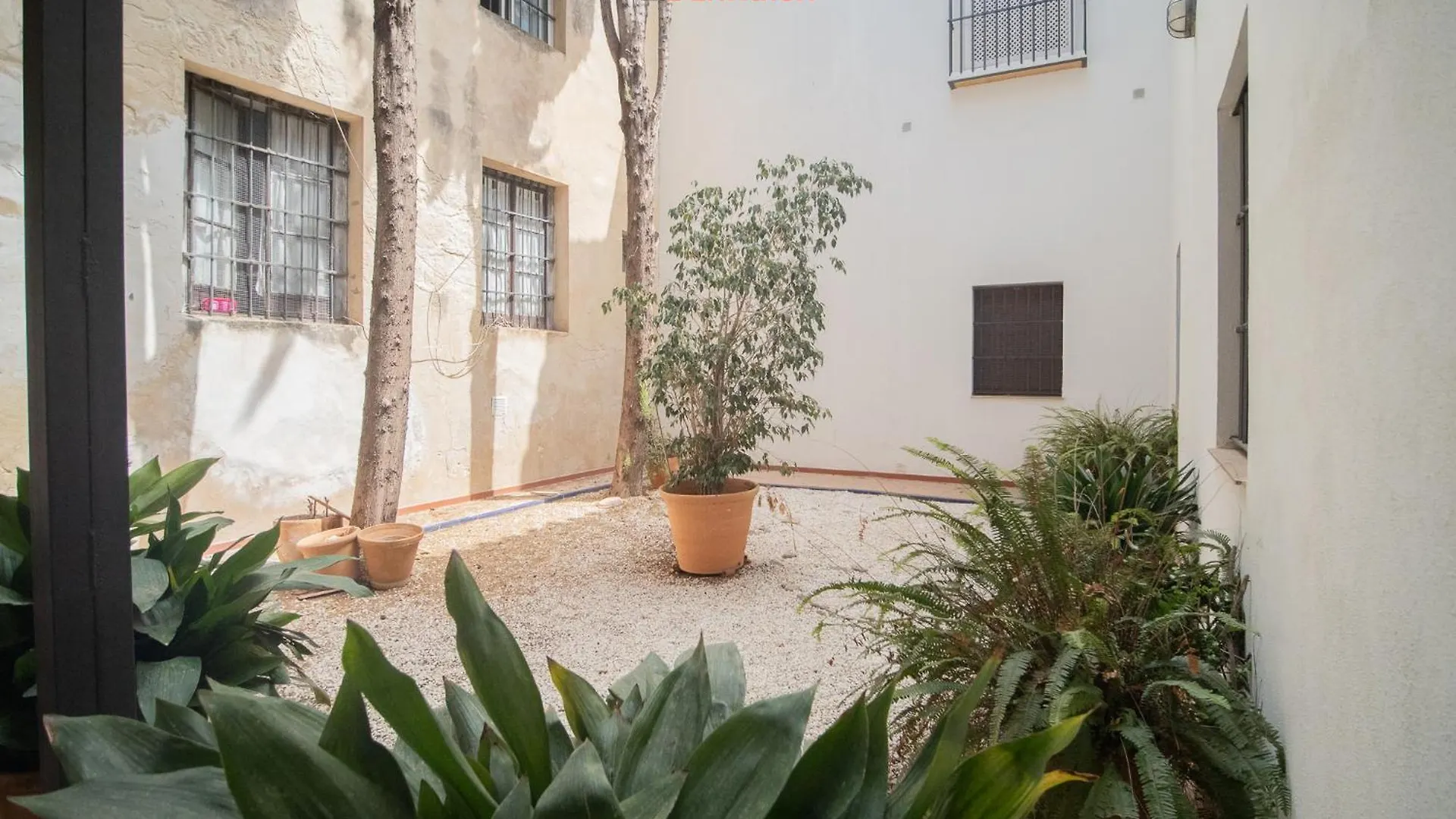 El Anfitrion - Loft Cargadores Sanlucar de Barrameda Spain